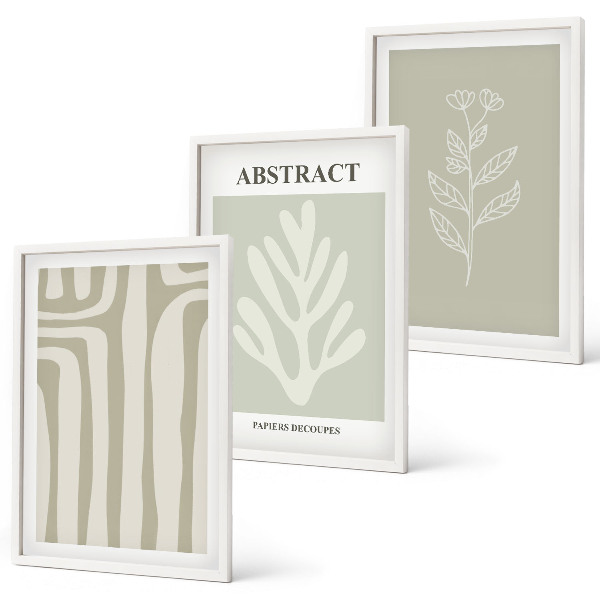 Set di 3 quadri Motivi astratti di piante