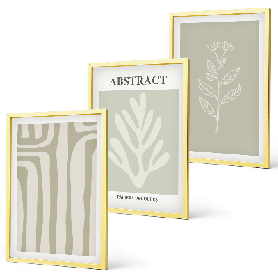 Set di 3 quadri Motivi astratti di piante
