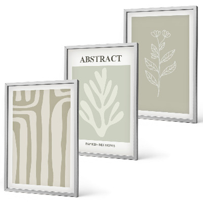 Set di 3 quadri Motivi astratti di piante