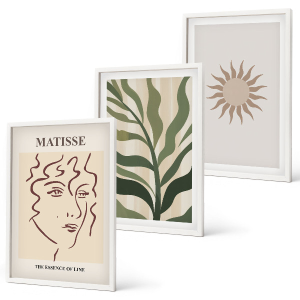 Set di quadri incorniciati Motivi astratti di piante