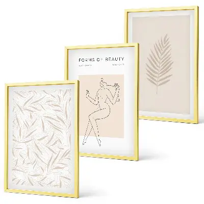 Set di 3 quadri con motivi botanici minimalisti
