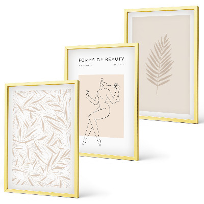 Set di 3 quadri Motivi botanici minimalisti
