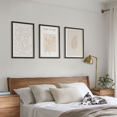 Set di 3 quadri Motivi botanici minimalisti