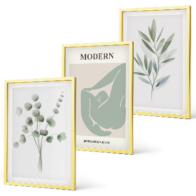 Set di quadri incorniciati Motivi vegetali in verde