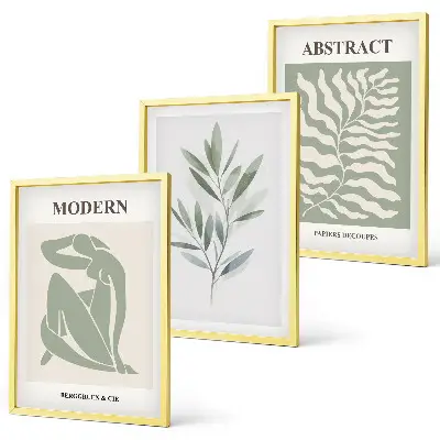 Set di 3 quadri con design bohémien ad acquerello in stile Matisse