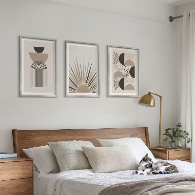 Set di 3 quadri Forme astratte beige marrone