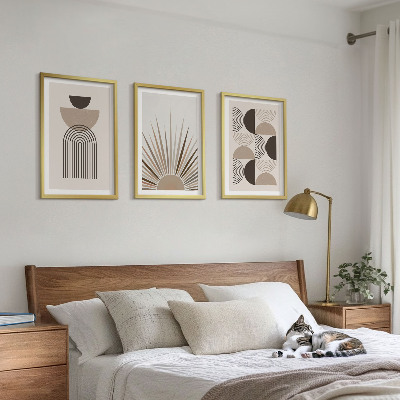 Set di 3 quadri Forme astratte beige marrone