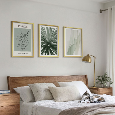 Set di quadri incorniciati Motivi vegetali in verde