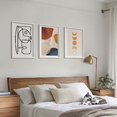 Set di quadri incorniciati Decorazioni astratte a colori