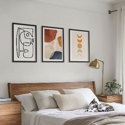 Set di quadri incorniciati Decorazioni astratte a colori