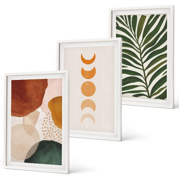 Set di 3 quadri Forme astratte di foglie