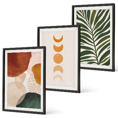 Set di 3 quadri Forme astratte di foglie