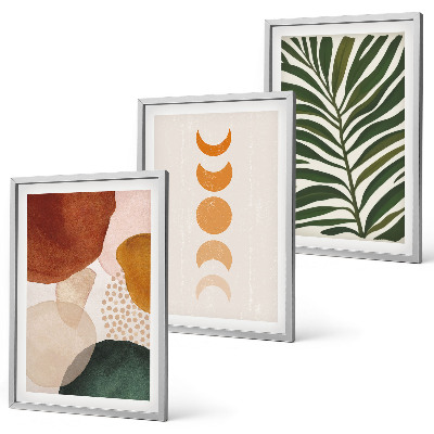 Set di 3 quadri Forme astratte di foglie
