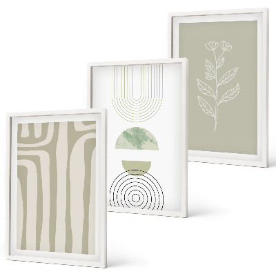 Set di quadri incorniciati Motivi geometrici di piante