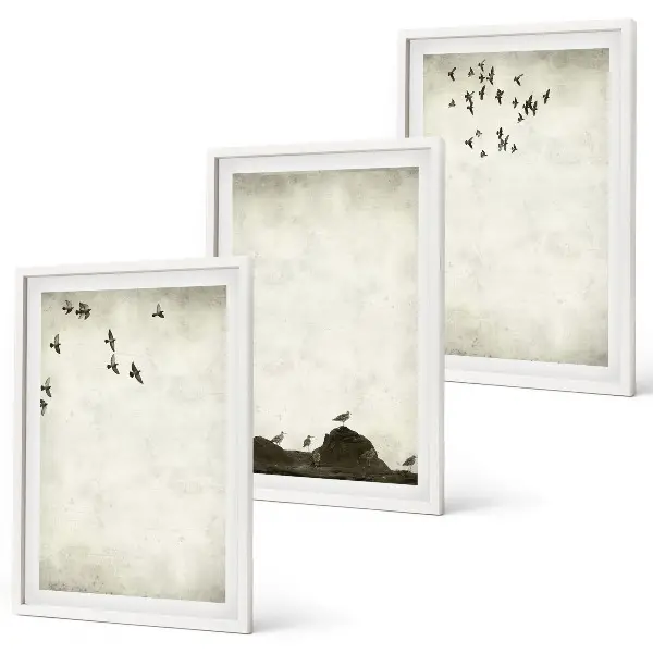 Set di quadri incorniciati motivo minimalista con uccelli in volo
