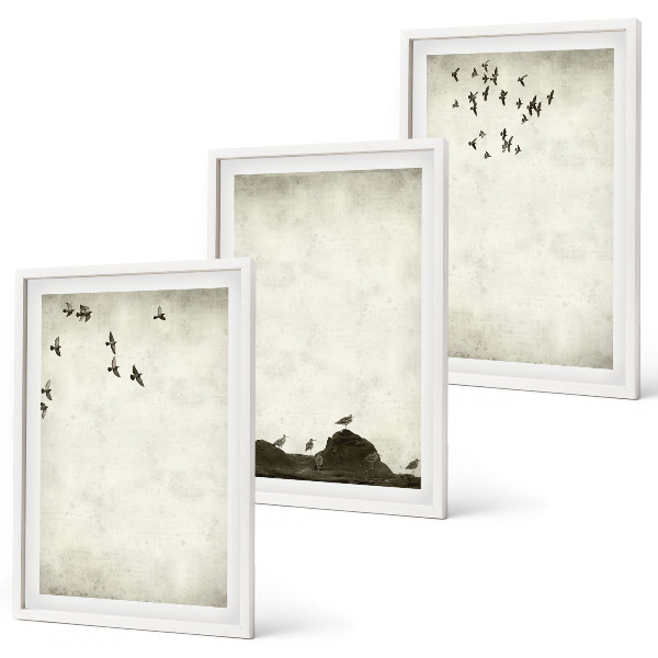 Set di quadri incorniciati Uccelli volanti Minimalismo