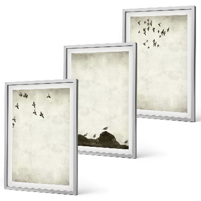 Set di quadri incorniciati Uccelli volanti Minimalismo
