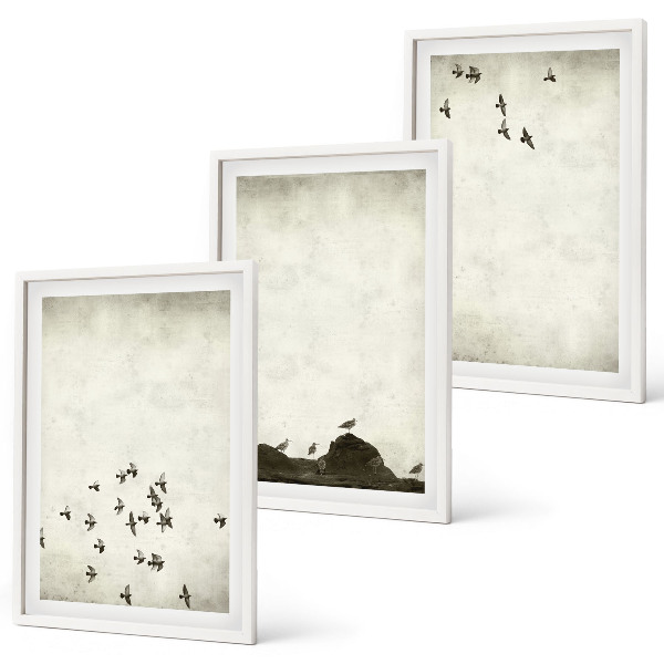 Set di 3 quadri Uccelli in volo in stile minimalista