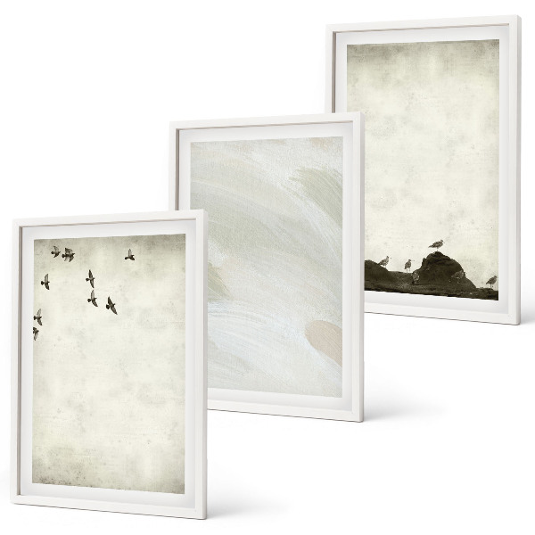 Set di 3 quadri Uccelli rocce pennellate decorazioni