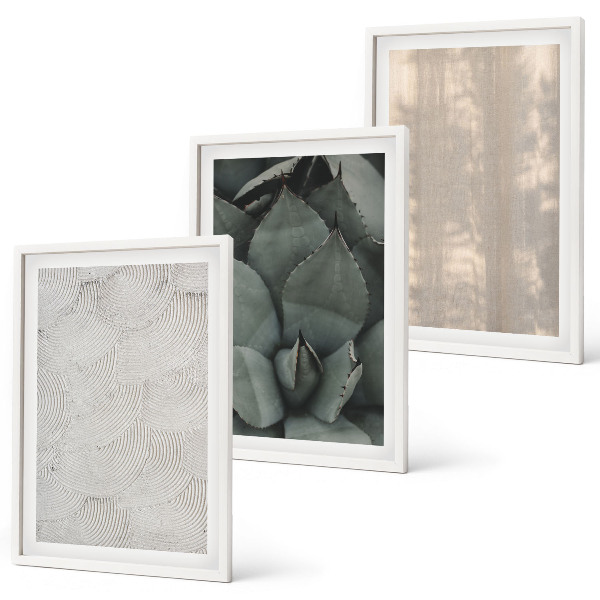Set di quadri incorniciati Trame tropicali estive
