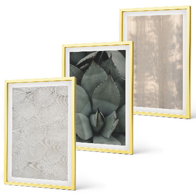 Set di quadri incorniciati Trame tropicali estive