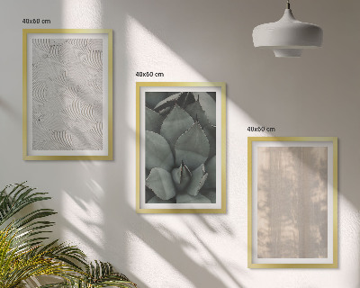 Set di quadri incorniciati Trame tropicali estive