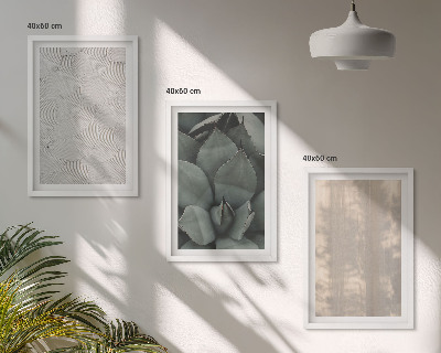 Set di quadri incorniciati Trame tropicali estive