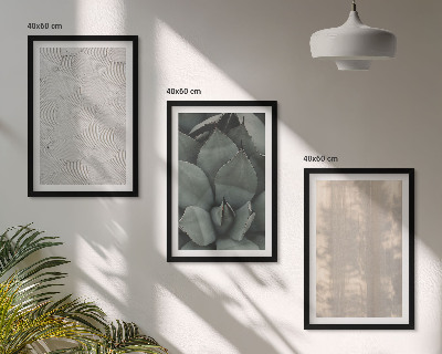 Set di quadri incorniciati Trame tropicali estive