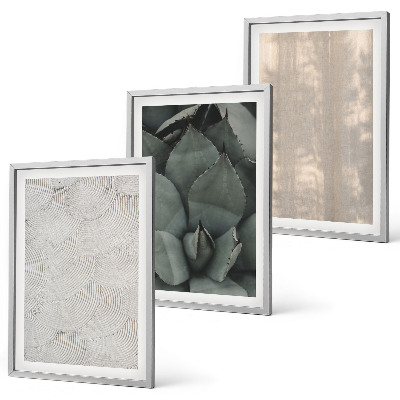 Set di quadri incorniciati Trame tropicali estive
