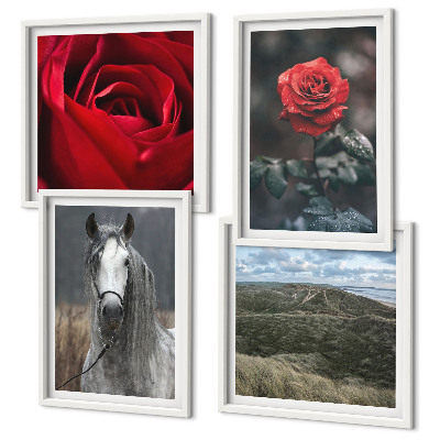 Composizione di 4 quadri Rose rosse su sfondo grigio cavallo