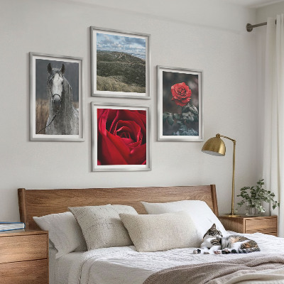Composizione di 4 quadri Rose rosse su sfondo grigio cavallo