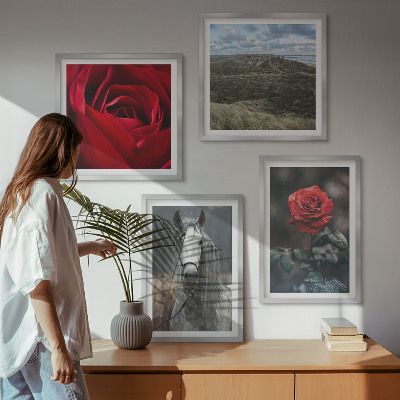Composizione di 4 quadri Rose rosse su sfondo grigio cavallo