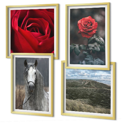 Composizione di 4 quadri Rose rosse su sfondo grigio cavallo
