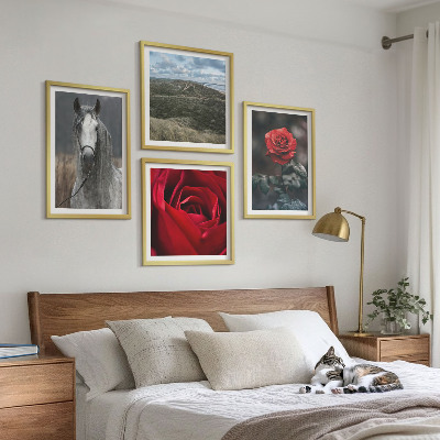 Composizione di 4 quadri Rose rosse su sfondo grigio cavallo
