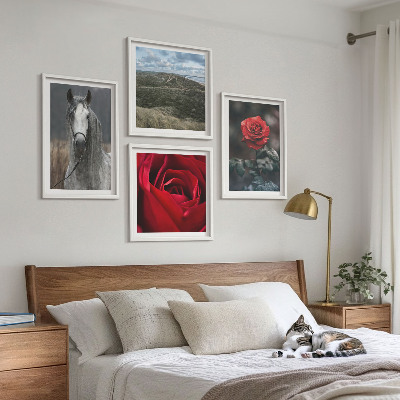 Composizione di 4 quadri Rose rosse su sfondo grigio cavallo