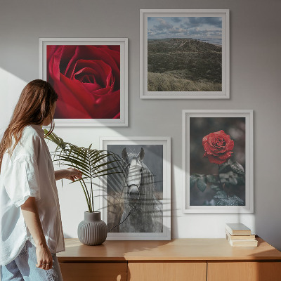 Composizione di 4 quadri Rose rosse su sfondo grigio cavallo