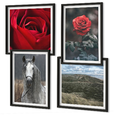 Composizione di 4 quadri Rose rosse su sfondo grigio cavallo
