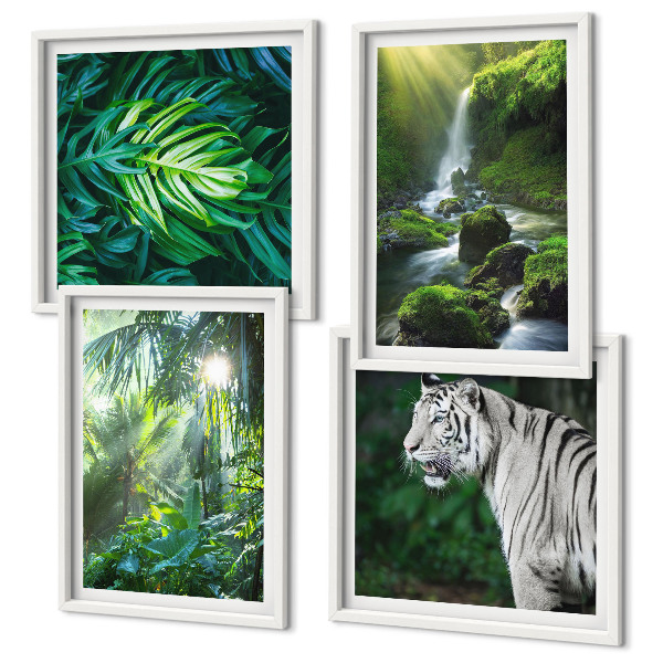 Composizione di 4 quadri Cascata della Tigre Bianca nella Giungla