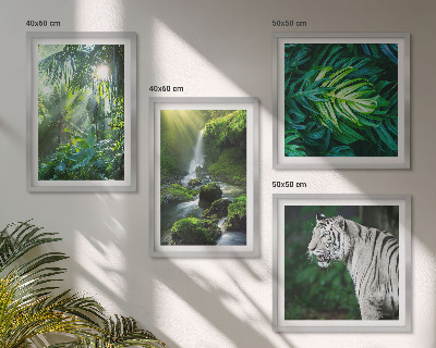 Composizione di 4 quadri Cascata della Tigre Bianca nella Giungla