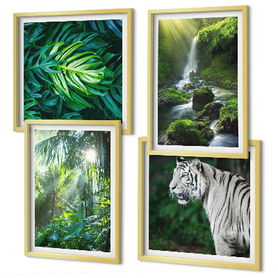 Composizione di 4 quadri Cascata della Tigre Bianca nella Giungla