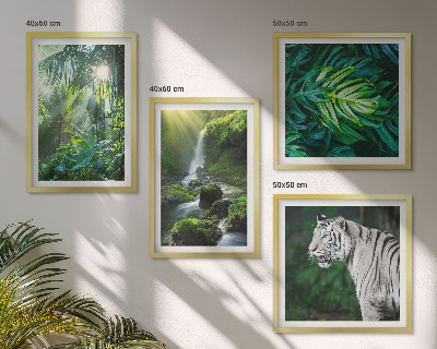 Composizione di 4 quadri Cascata della Tigre Bianca nella Giungla