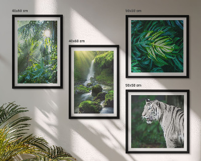 Composizione di 4 quadri Cascata della Tigre Bianca nella Giungla