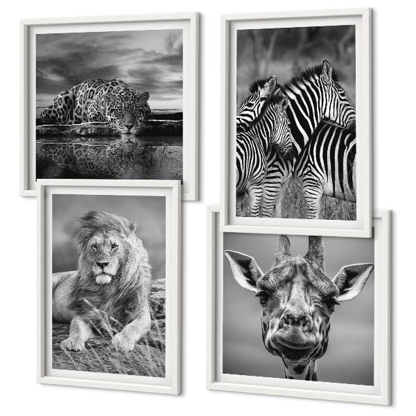 Composizione di 4 quadri Animali selvatici: Leone, Giaguaro, Giraffa, Zebre