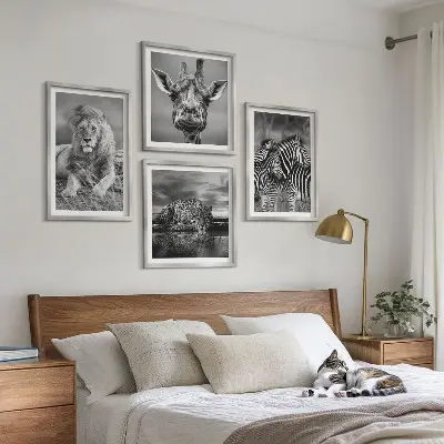 Composizione di 4 quadri con animali selvatici leone giaguaro giraffa e zebre