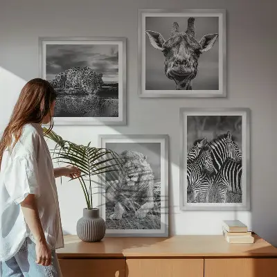Composizione di 4 quadri con animali selvatici leone giaguaro giraffa e zebre