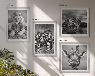 Composizione di 4 quadri Animali selvatici: Leone, Giaguaro, Giraffa, Zebre
