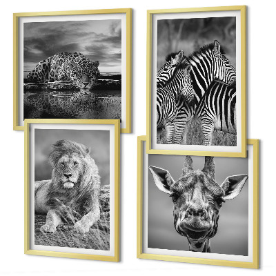 Composizione di 4 quadri Animali selvatici: Leone, Giaguaro, Giraffa, Zebre