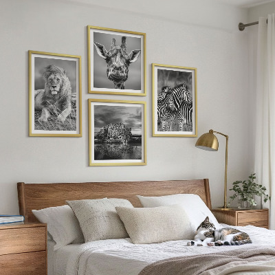 Composizione di 4 quadri Animali selvatici: Leone, Giaguaro, Giraffa, Zebre