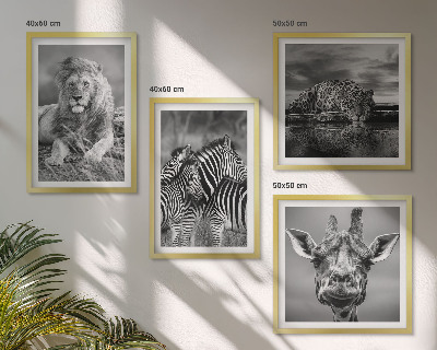 Composizione di 4 quadri Animali selvatici: Leone, Giaguaro, Giraffa, Zebre