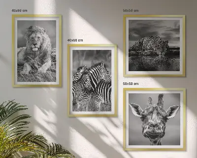 Composizione di 4 quadri con animali selvatici leone giaguaro giraffa e zebre